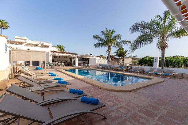 Sun loungers along the pool at Villa Palmview, palms and blue sky