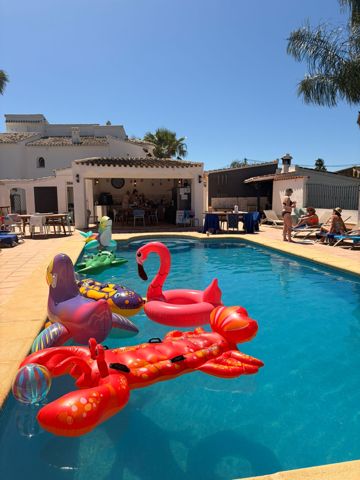 Flamingos in the pool