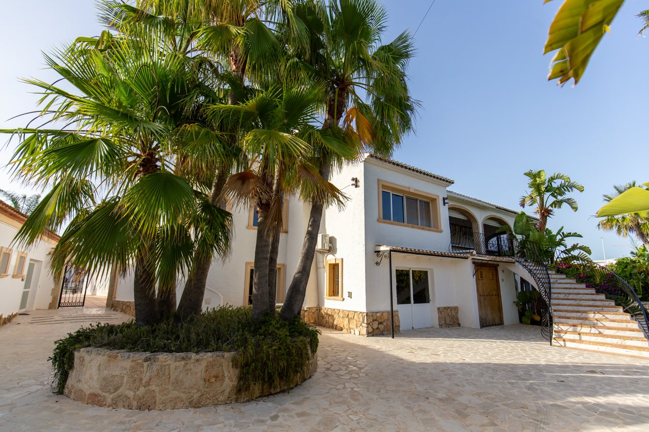 Cour avec palmiers éventail et l'aile blanche de la villa derrière