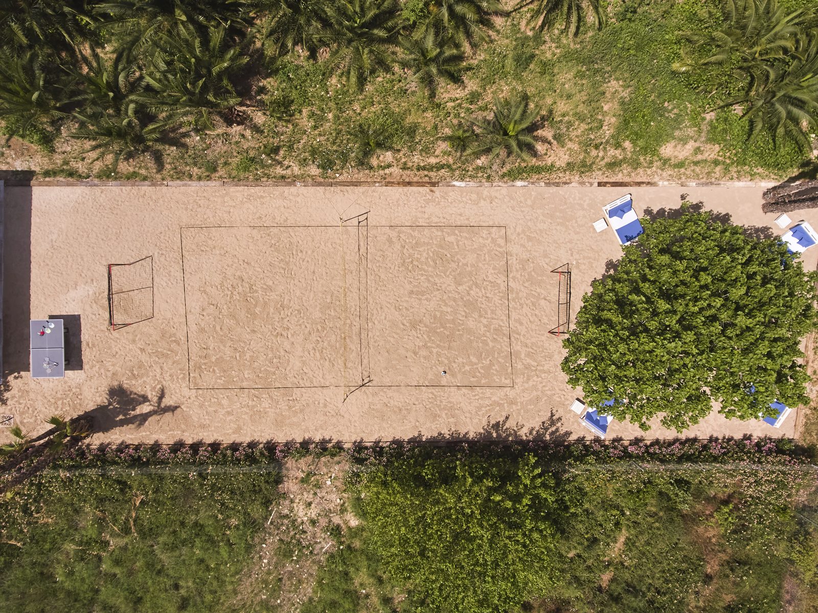 Eigen zand en olijfbomen op het domein van Villa Palmview
