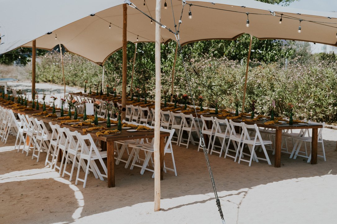 Long tables laid for a group under canopies in the olive grove