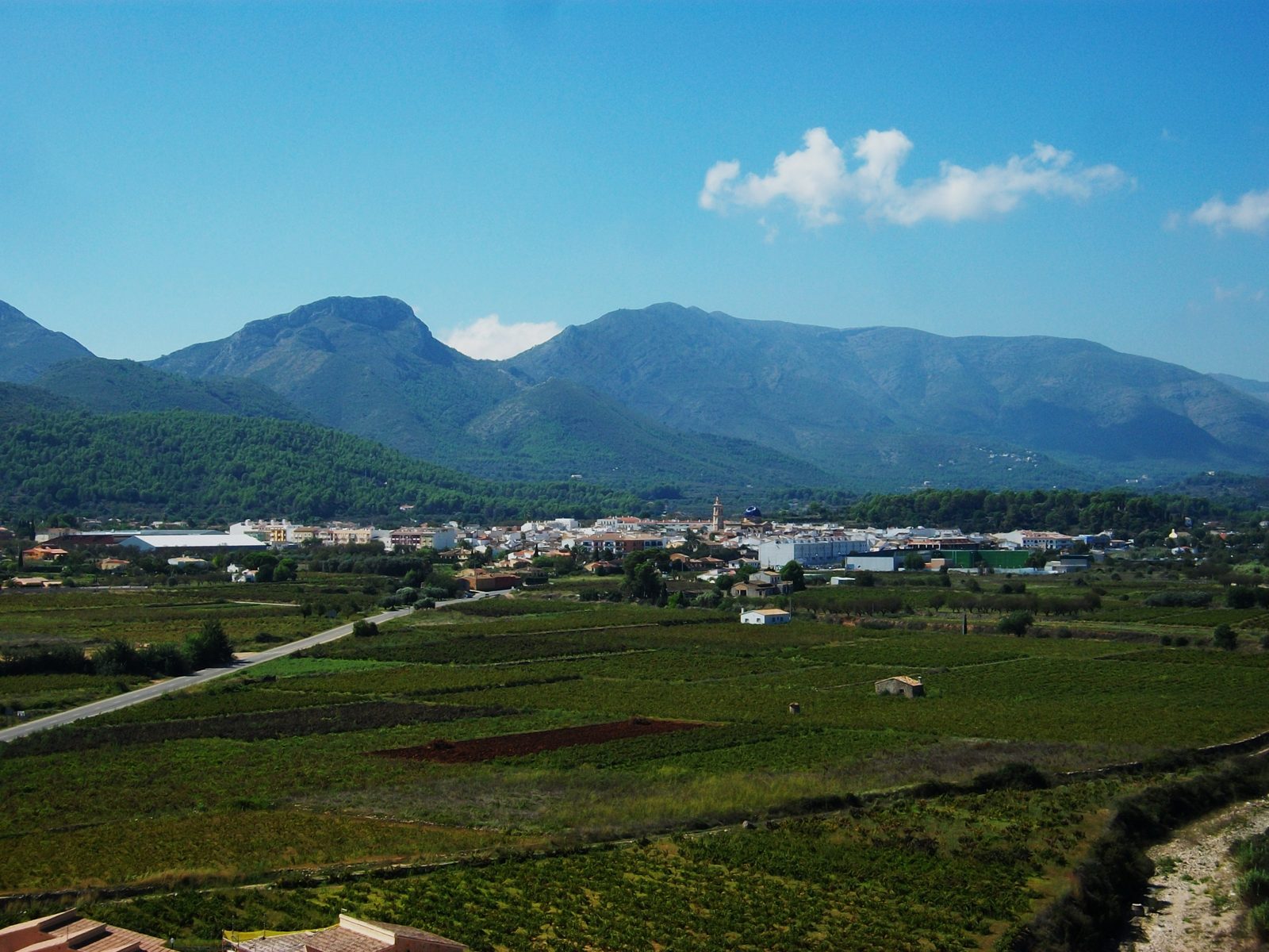 The Xaló valley seen from Llíber, vineyards and the Bernia ridge