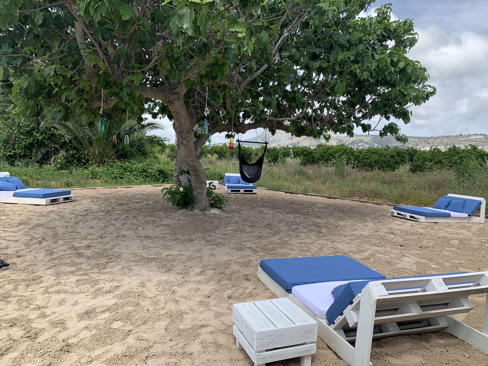 Daybeds in the shade of a tree on the private beach